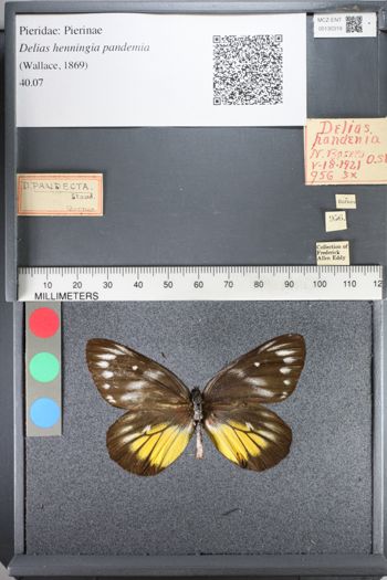 Media type: image;   Entomology 130319